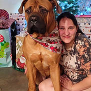 Hercules is registered to the contest to win money with this photo: dog, woman, christmas_tree, presents, scarf, holiday, indoor, smiling, decorations, festive, lights, wrapped_gifts, floor, sitting, portrait, happy, tiled_floor, casual_clothing, large_dog, celebration