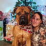 dog, woman, christmas_tree, presents, holiday, indoor, festive, bandana, wrapped_gifts, smiling, celebration, friendship, decorations, christmas_lights, floor, sitting, portrait, happy, casual_clothing, togetherness