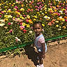Bella is registered to the contest to win money with this photo: child, flower_garden, colorful_flowers, dirt_path, sunlight, green_tape, nature, outdoor, person, summer, plants, pink_shirt, denim_overalls, shoes, young_child, portrait, daytime, flora, curiosity, garden