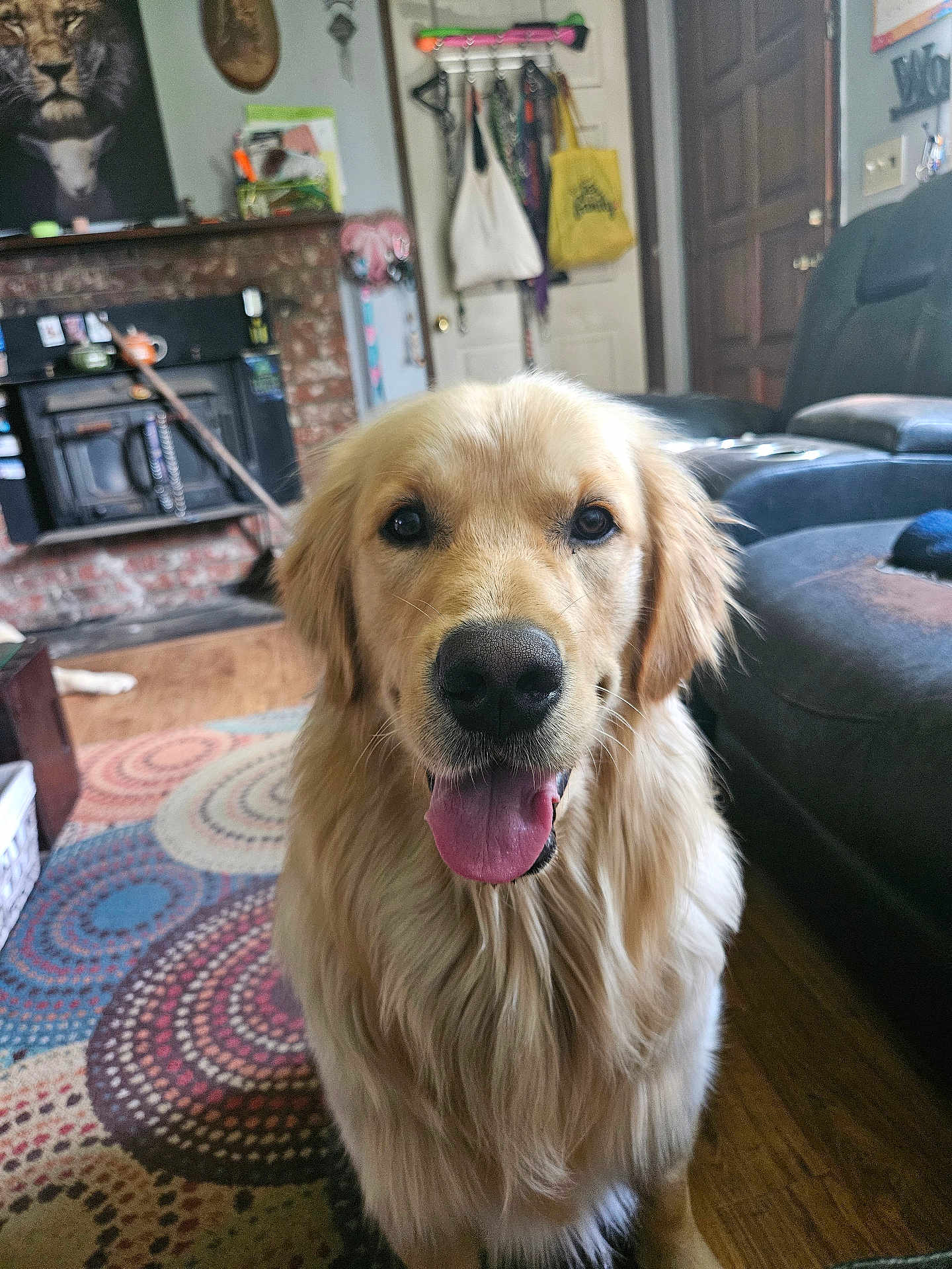 Toby
