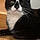 Mylo