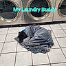 Cesar Wesar Winston is registered to the contest to win money with this photo: appliance, black_dog, blanket, cleaning, comfort, companion, cozy, dog, floor, home, indoor, laundromat, nap, quiet, resting, sleeping, text_overlay, tile_floor, washing_machine, wrapped