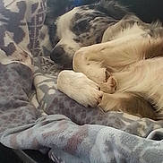 Diego a rejoint le concours — aidez-le/la à gagner de superbes lots !