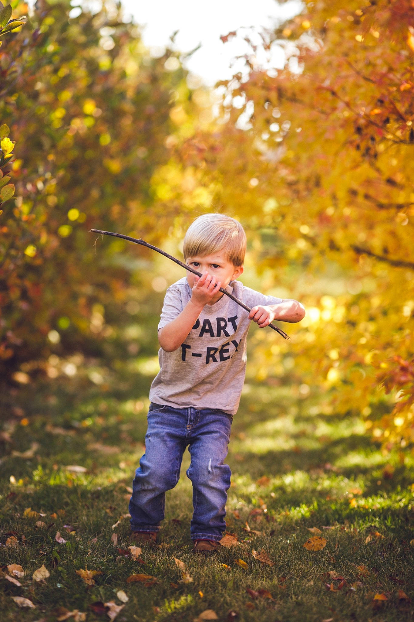 Halvor joined the competition — help win amazing prizes! autumn, branch, child, family, fun, grass, happy, leaf, people_in_nature, person, photograph, photography, plant, portrait_photography, sky, smile, standing, sunlight, toddler, tree