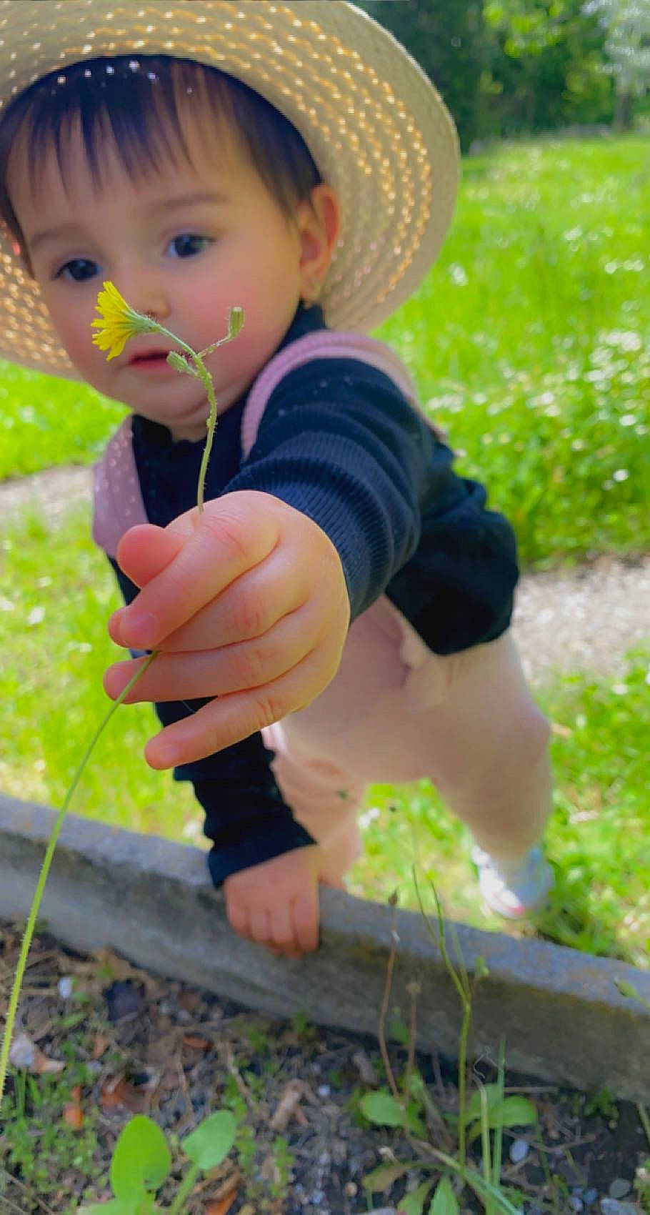 Lily Rose participe au concours pour gagner de l'argent avec cette photo : baby, baby_toddler_clothing, fun, grass, green, hand, happy, hat, head, leaf, light, people_in_nature, person, plant, summer, sun_hat, sunlight, thumb, toddler, wood