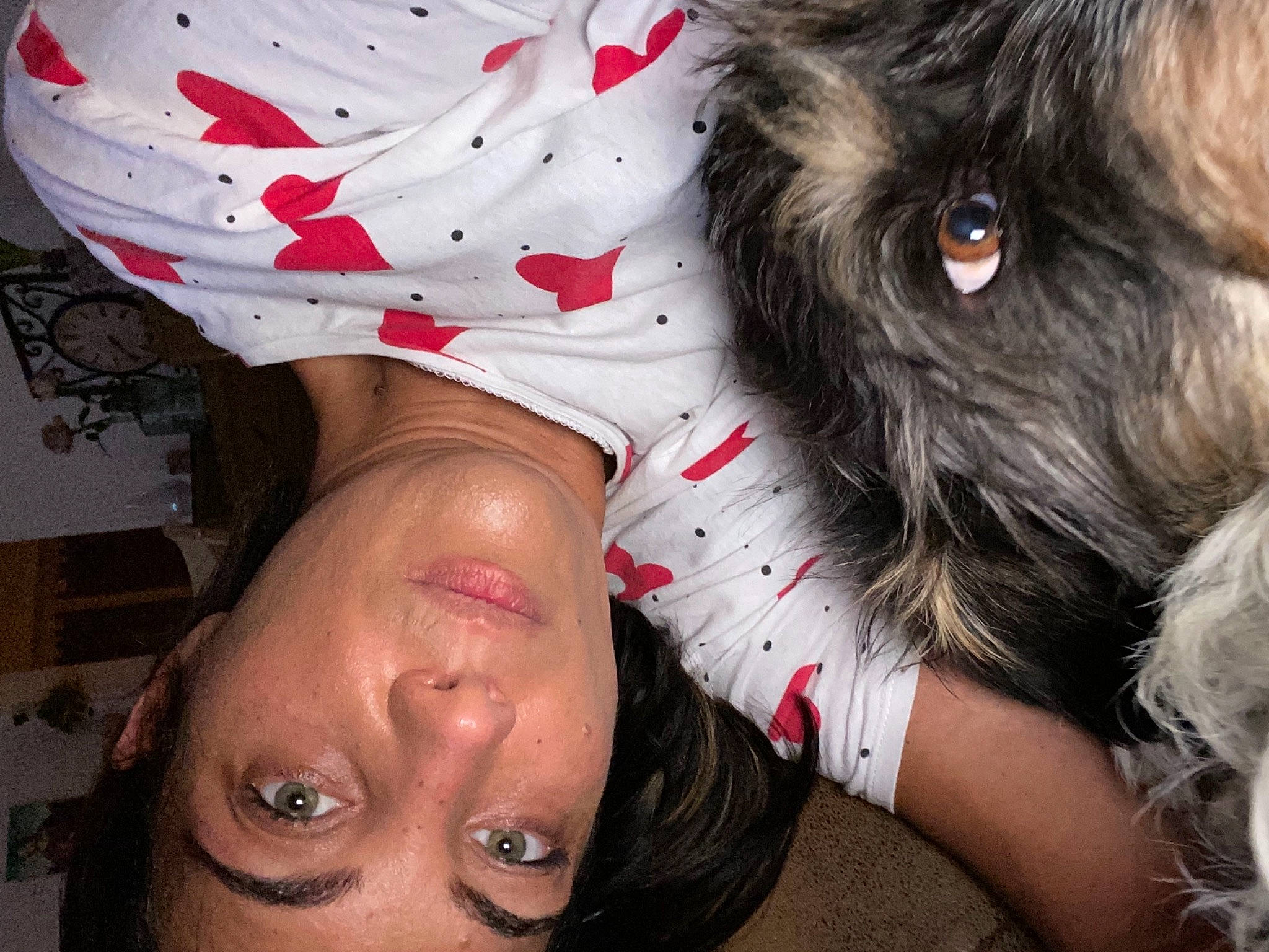 Jeep a rejoint le concours — aidez-le/la à gagner de superbes lots ! black_hair, carnivore, companion_dog, dog, dog_breed, event, eyelash, fashion_accessory, felidae, flesh, fur, gesture, hairstyle, happy, liver, nail, pattern, skin, toy_dog, whiskers