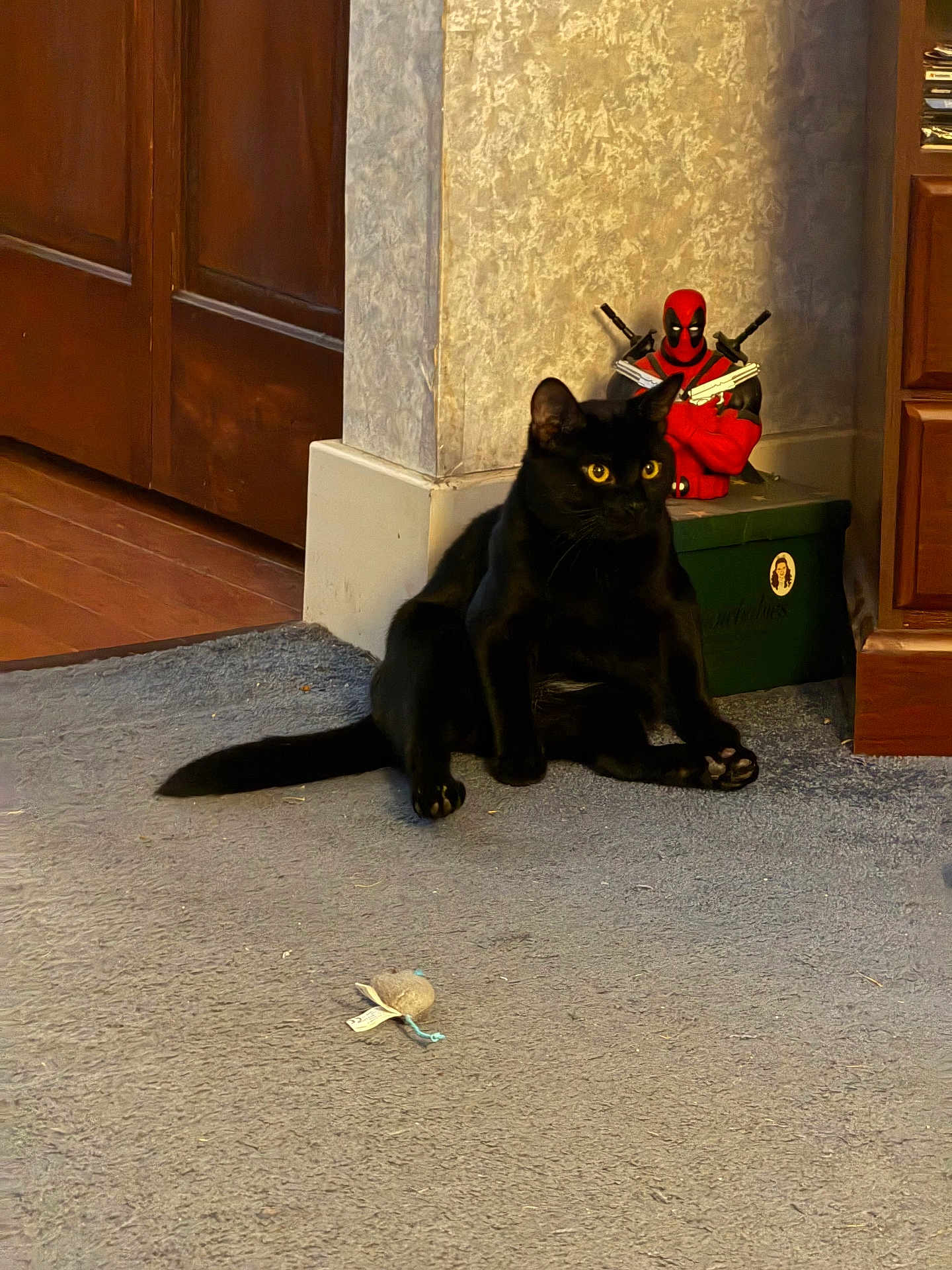 Quill joined the competition — help win amazing prizes! black_cat, cat, toy_mouse, carpet, figurine, deadpool, indoor, wooden_floor, corner, wall, furniture, relaxed, pet, animal, yellow_eyes, sitting, playful, home, decor, figure