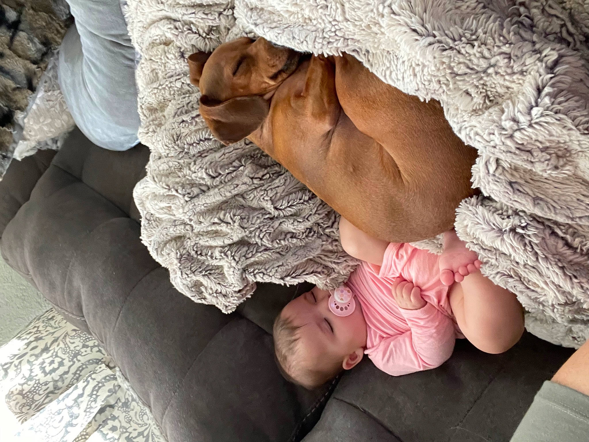 Adaline joined the competition — help win amazing prizes! baby, child, comfort, dress, event, eye, finger, gesture, hand, happy, head, headgear, human_body, linens, people_in_nature, person, plant, sitting, skin, textile