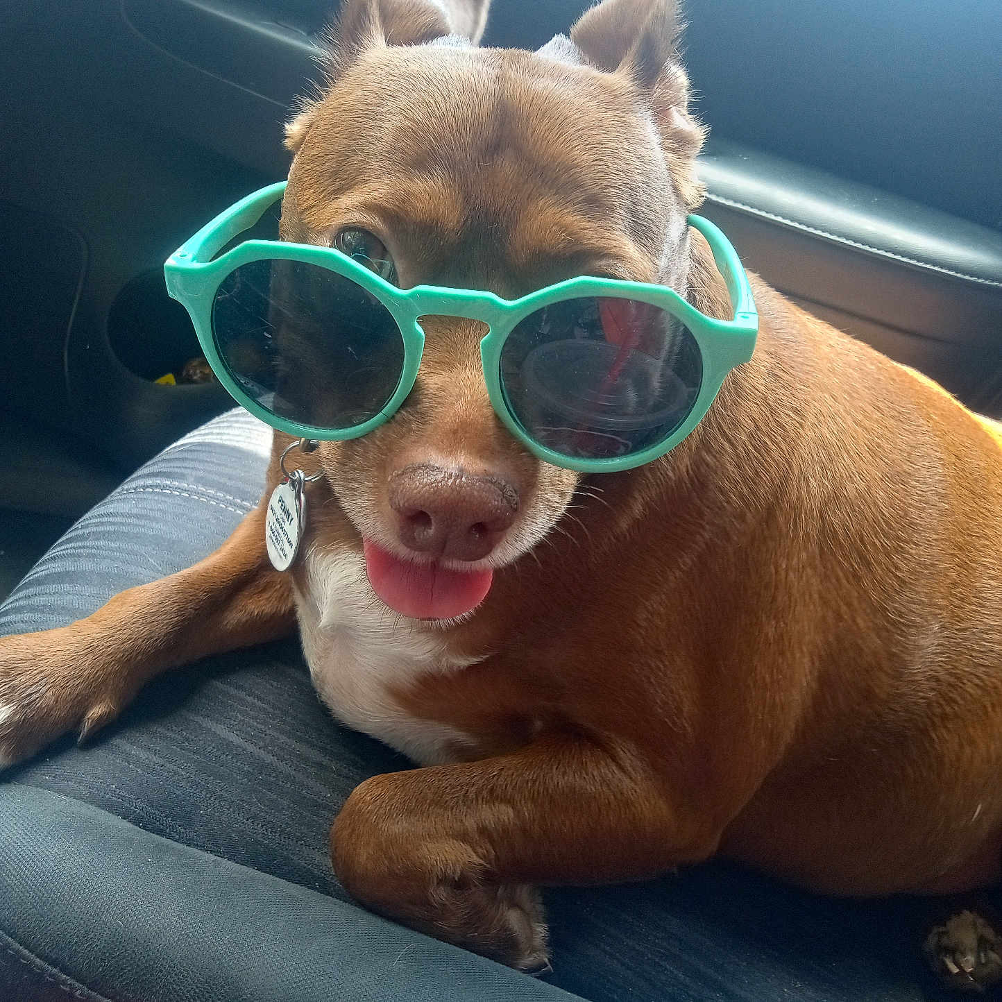 Penny