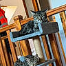 cat, tabby_cat, cat_tree, furniture, indoor, wooden_railing, sleeping_cat, resting_cat, pet, animal, cozy, domestic, two_cats, multi_level, soft_fabric, relaxed, alert, home, cute, feline