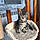 Louna