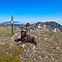 blue_sky, canine, chocolate_labrador, cross, daytime, dog, grass, landscape, mountain, nature, outdoor, pet, pile_of_stones, resting, rock, rocky_terrain, sky, snow_patch, summit, sunny