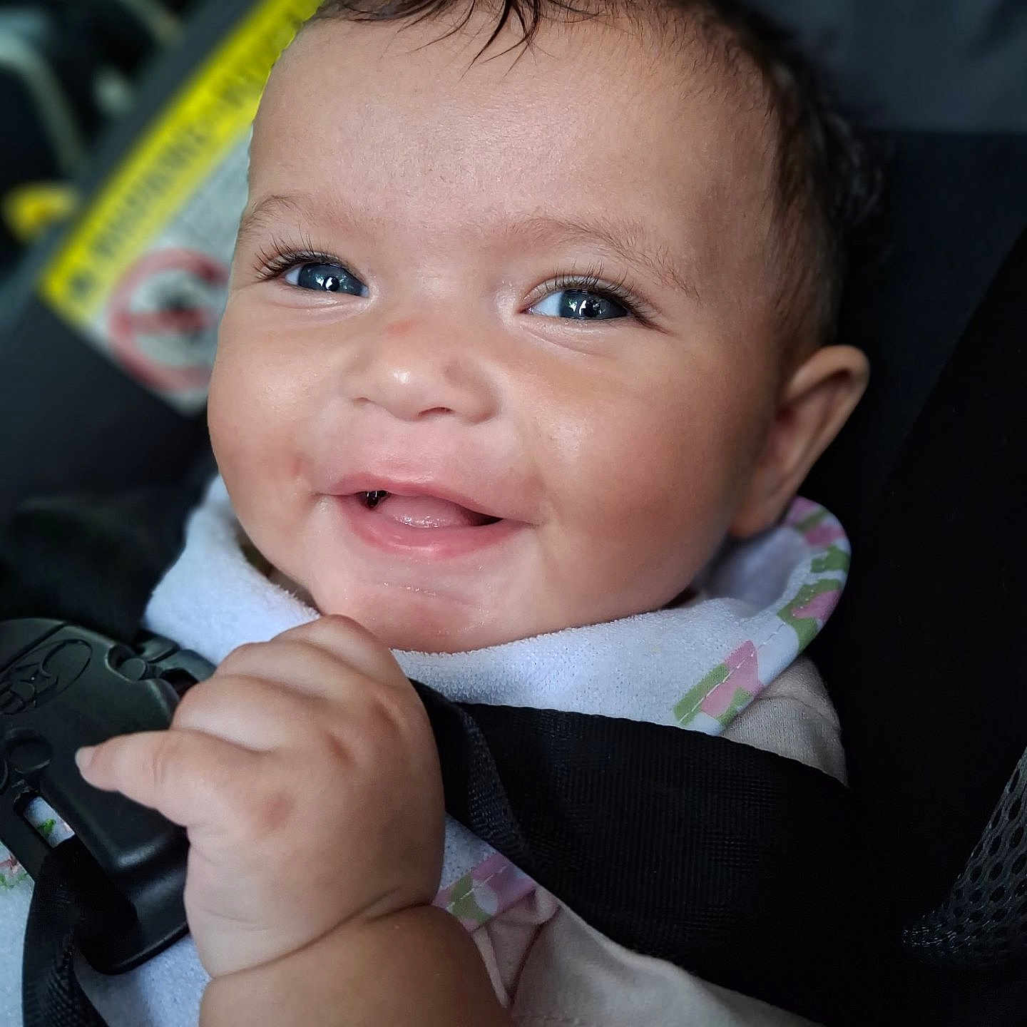 Isla