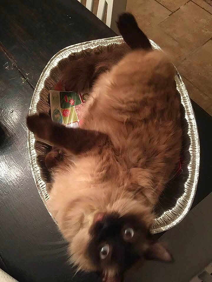 Oliver