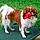 Alvin