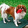Alvin