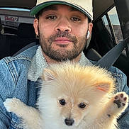 Luke Skywalker is registered to the contest to win money with this photo: baseball_cap, beard, car_interior, casual_clothing, closeup, cute, daylight, denim_jacket, dog, earbuds, fluffy_dog, holding, man, new_york_yankees, pet, portrait, puppy, seatbelt, window, young_adult
