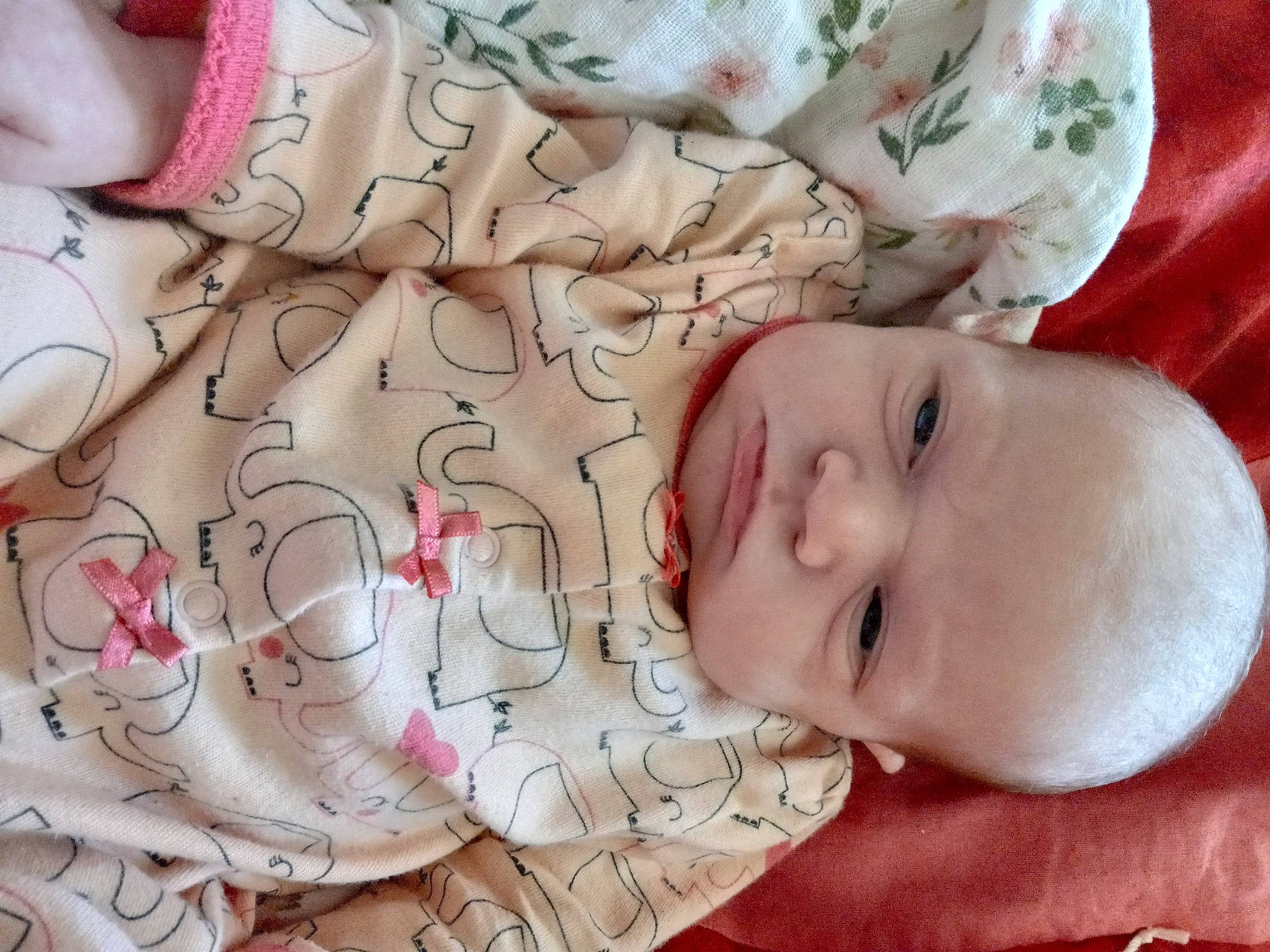 Harmony is registered to the contest to win money with this photo: baby, baby_toddler_clothing, cheek, child, comfort, eye, facial_expression, happy, human, lip, mammal, mouth, nose, pattern, person, pink, product, skin, textile, toddler