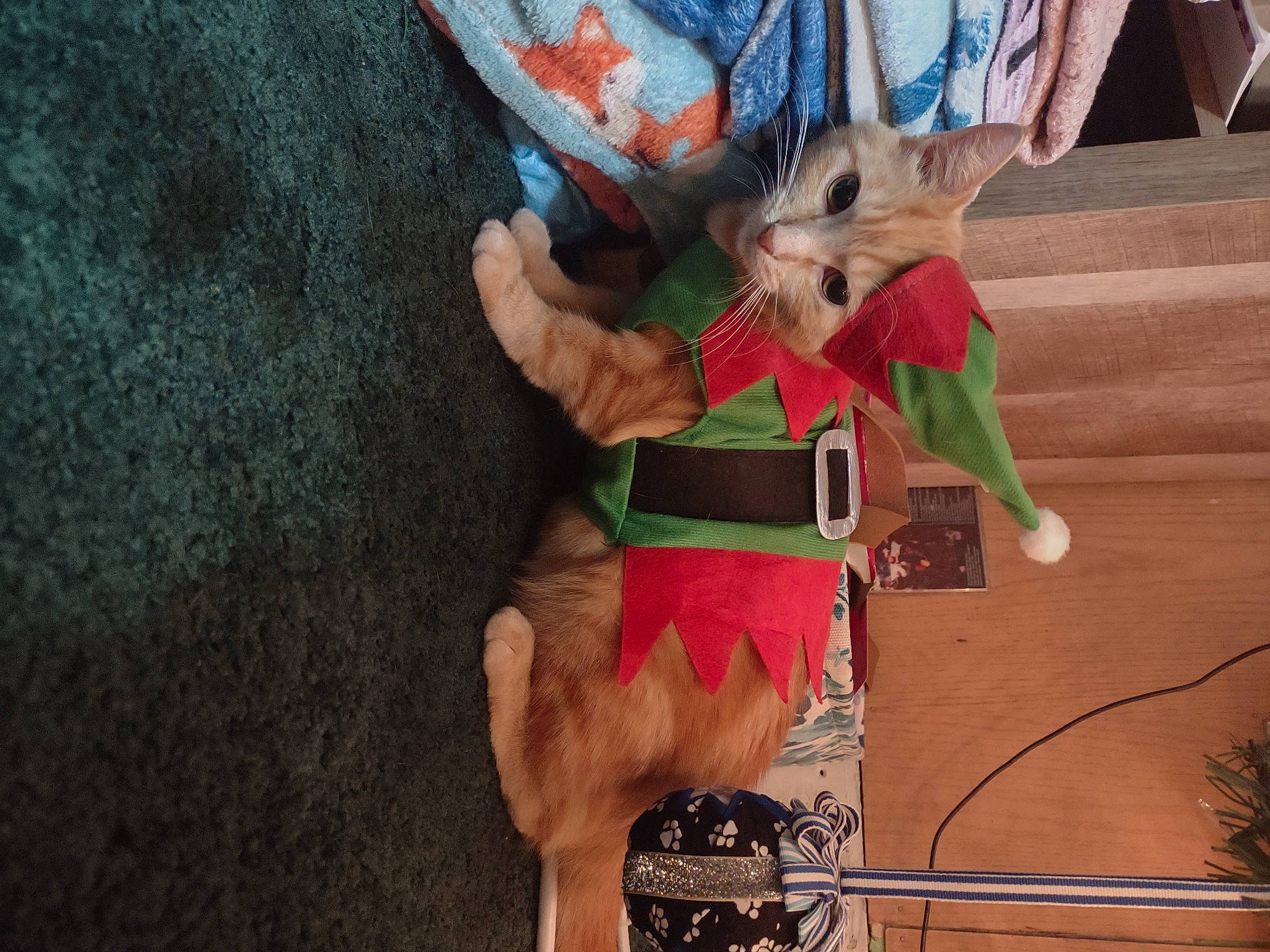 Goldie joined the competition — help win amazing prizes! costume, doll, dress, event, fawn, felidae, fictional_character, fun, fur, grass, holiday, human_leg, pattern, plant, plush, stuffed_toy, tail, thigh, toy, whiskers