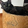 black_cat, cat, green_eyes, pot, decorative_pot, curious, whiskers, indoor, feline, texture, close_up, animal, pet, ears, portrait, looking_out, home, soft_focus, mystery, alert