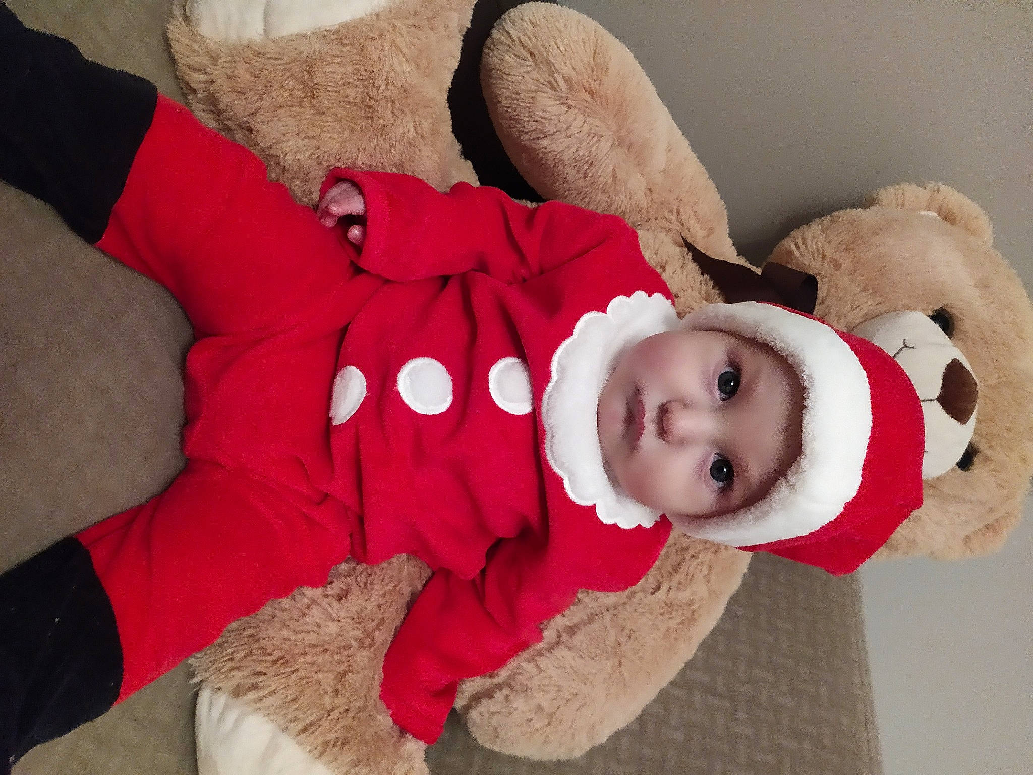 Fabian participe au concours pour gagner de l'argent avec cette photo : baby, baby_products, baby_toddler_clothing, christmas, costume, costume_accessory, fictional_character, fur, fur_clothing, headwear, person, plush, red, stuffed_toy, textile, toddler, toy