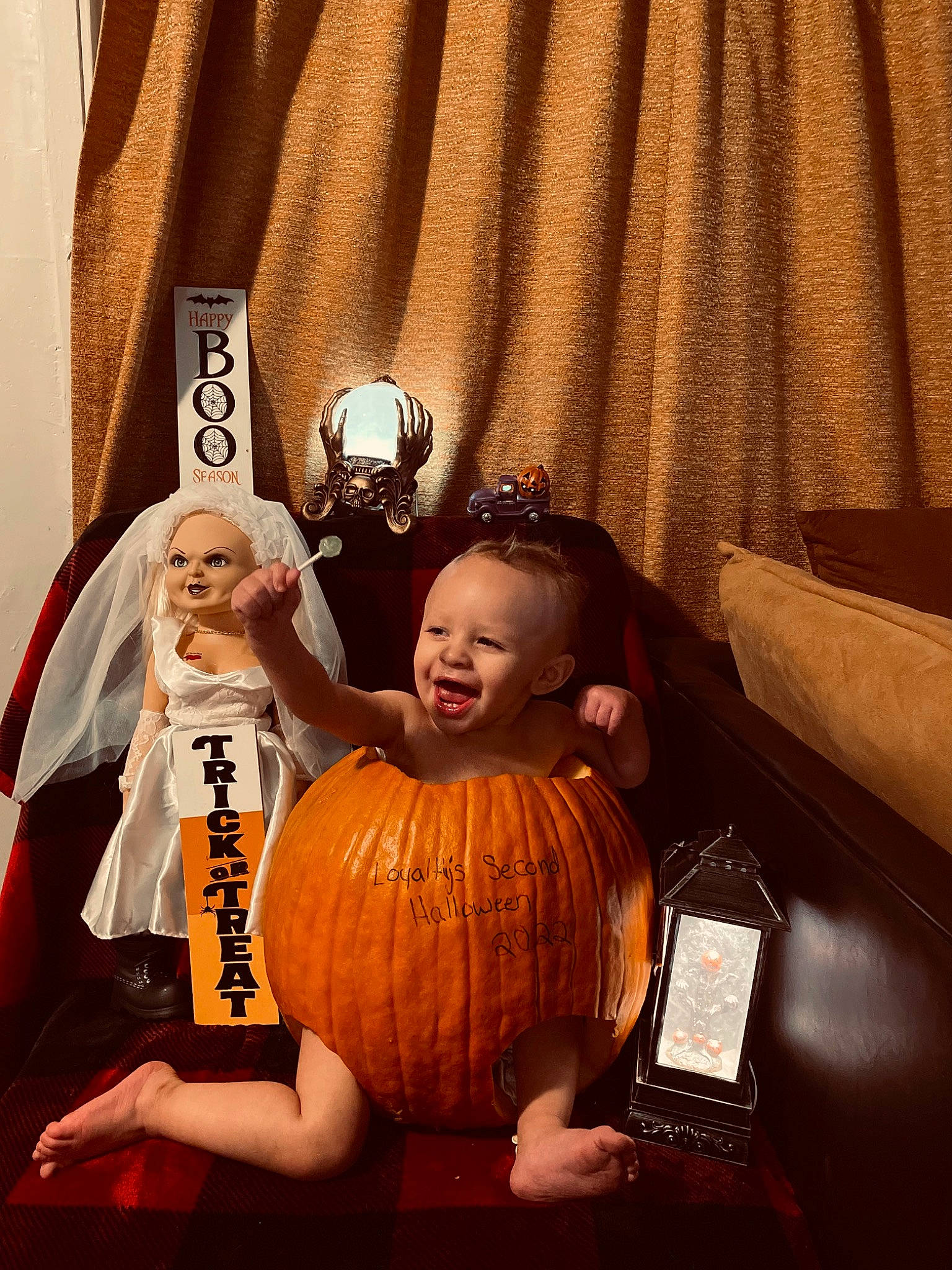 Loyalty is registered to the contest to win money with this photo: art, calabaza, cucurbita, curtain, fruit, gourd, jack_o_lantern, local_food, natural_foods, orange, person, plant, produce, pumpkin, room, squash, still_life_photography, vegetable, whole_food, winter_squash