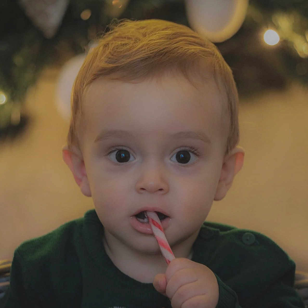 Lizyo participe au concours pour gagner de l'argent avec cette photo : background_blur, basket, candy_cane, child, christmas, curious, cute, face, festive, green_sweater, hand, holiday, holiday_decor, indoors, lights, portrait, seasonal, toddler, winter, young_child