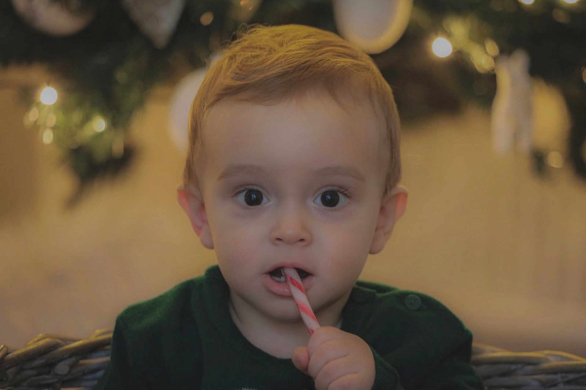 Lizyo participe au concours pour gagner de l'argent avec cette photo : toddler, child, candy_cane, holiday, christmas, lights, festive, portrait, cute, indoors, curious, green_sweater, young_child, face, hand, winter, seasonal, background_blur, basket, holiday_decor