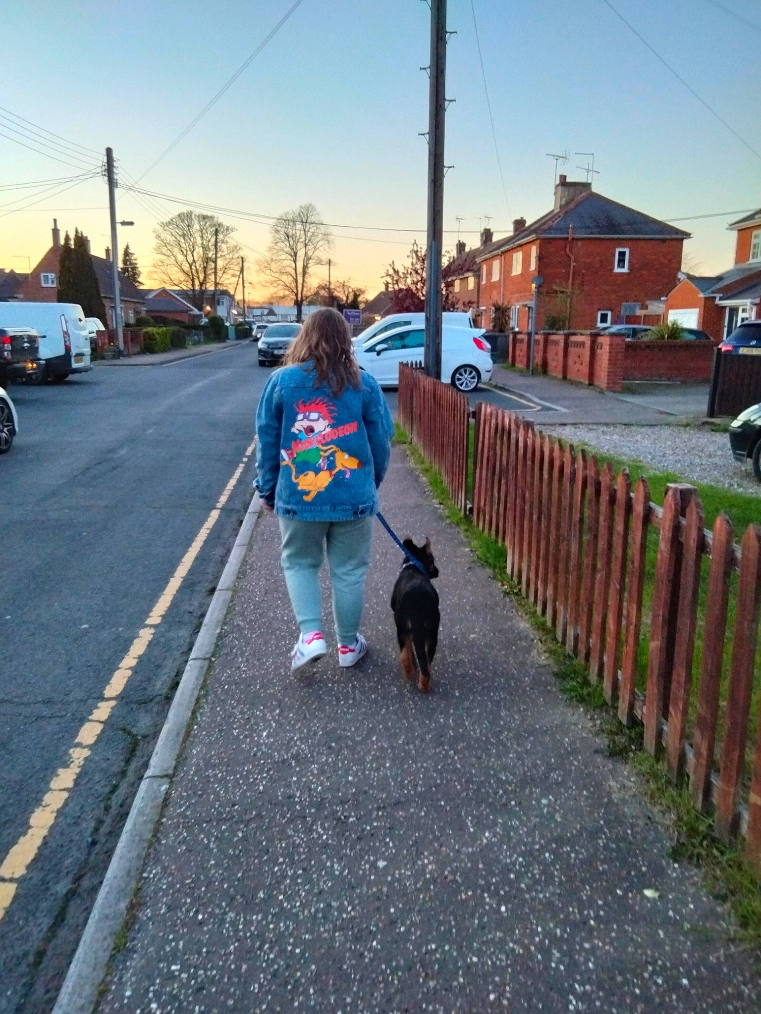 Ziva is registered to the contest to win money with this photo: asphalt, car, carnivore, dog, dog_breed, fence, infrastructure, land_vehicle, leisure, morning, people, public_space, road, road_surface, sidewalk, sky, thoroughfare, travel, tree, vehicle