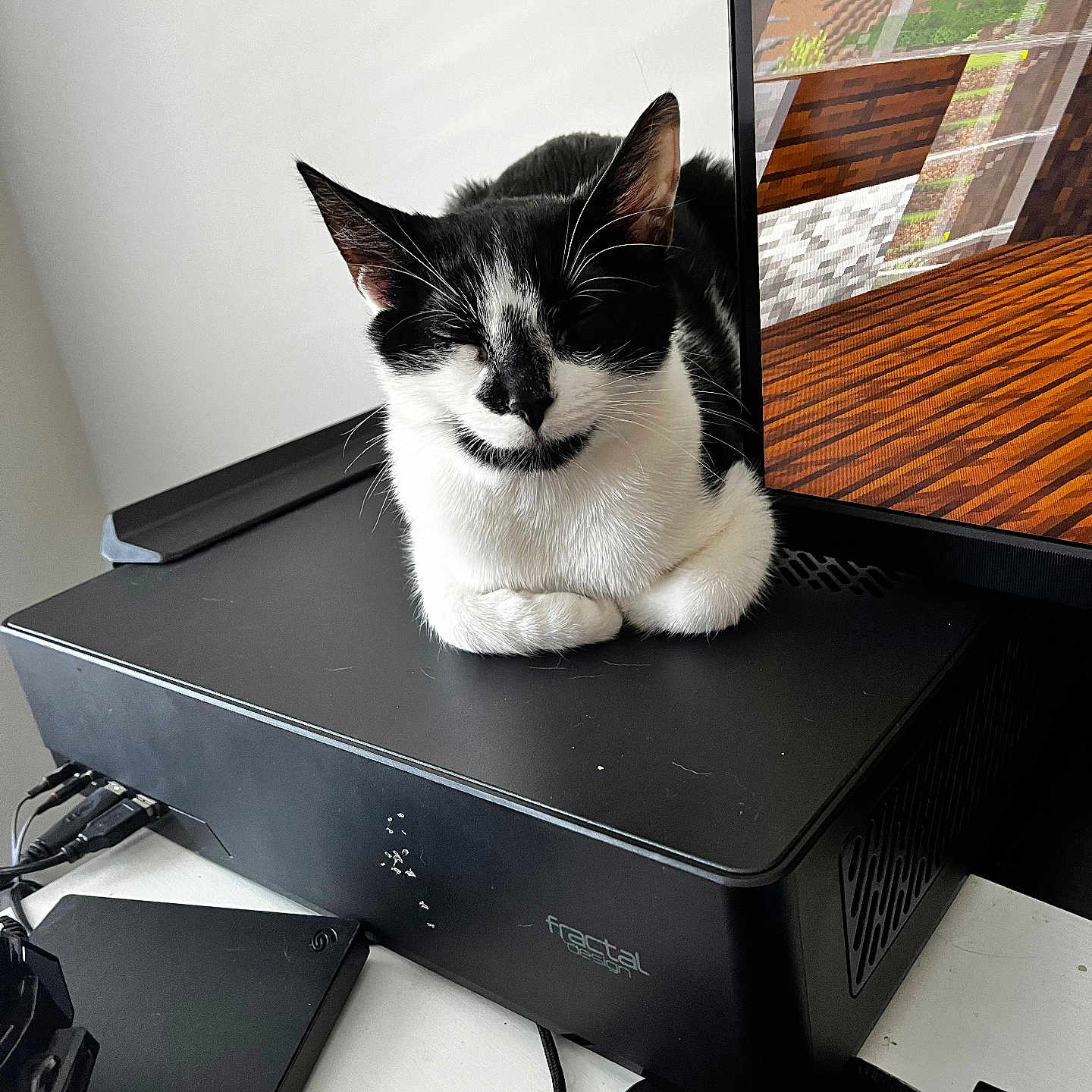 Milo joined the competition — help win amazing prizes! black_and_white_cat, black_surface, cat, computer_case, computer_peripheral, cozy, cute, desk, electronics, feline, gaming, home_office, indoor, minecraft, monitor, pet, relaxed, resting, screen, technology