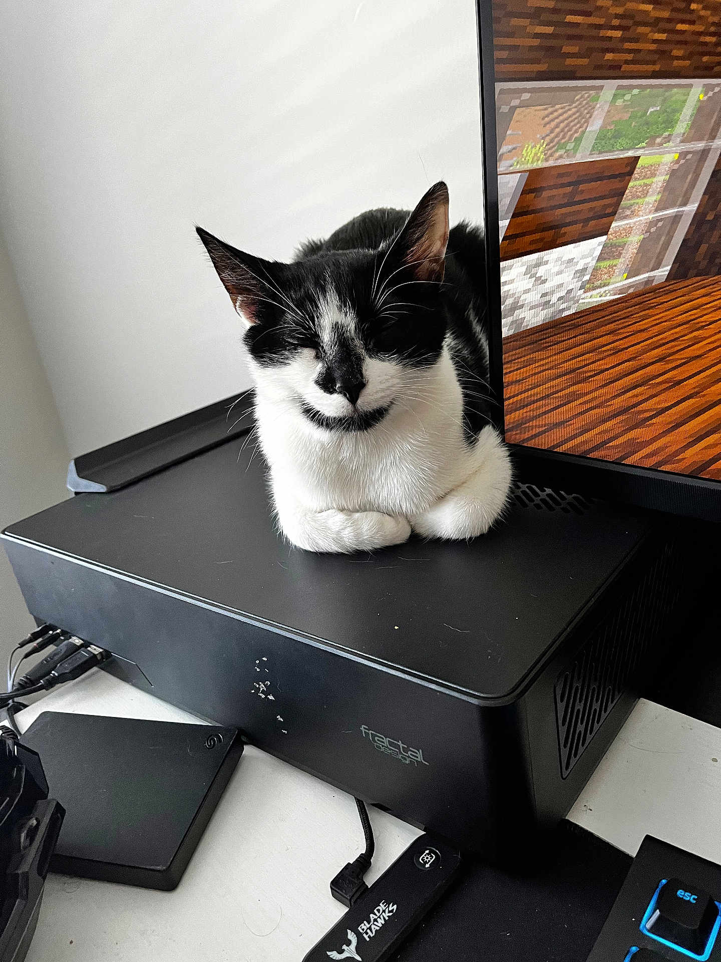 Milo