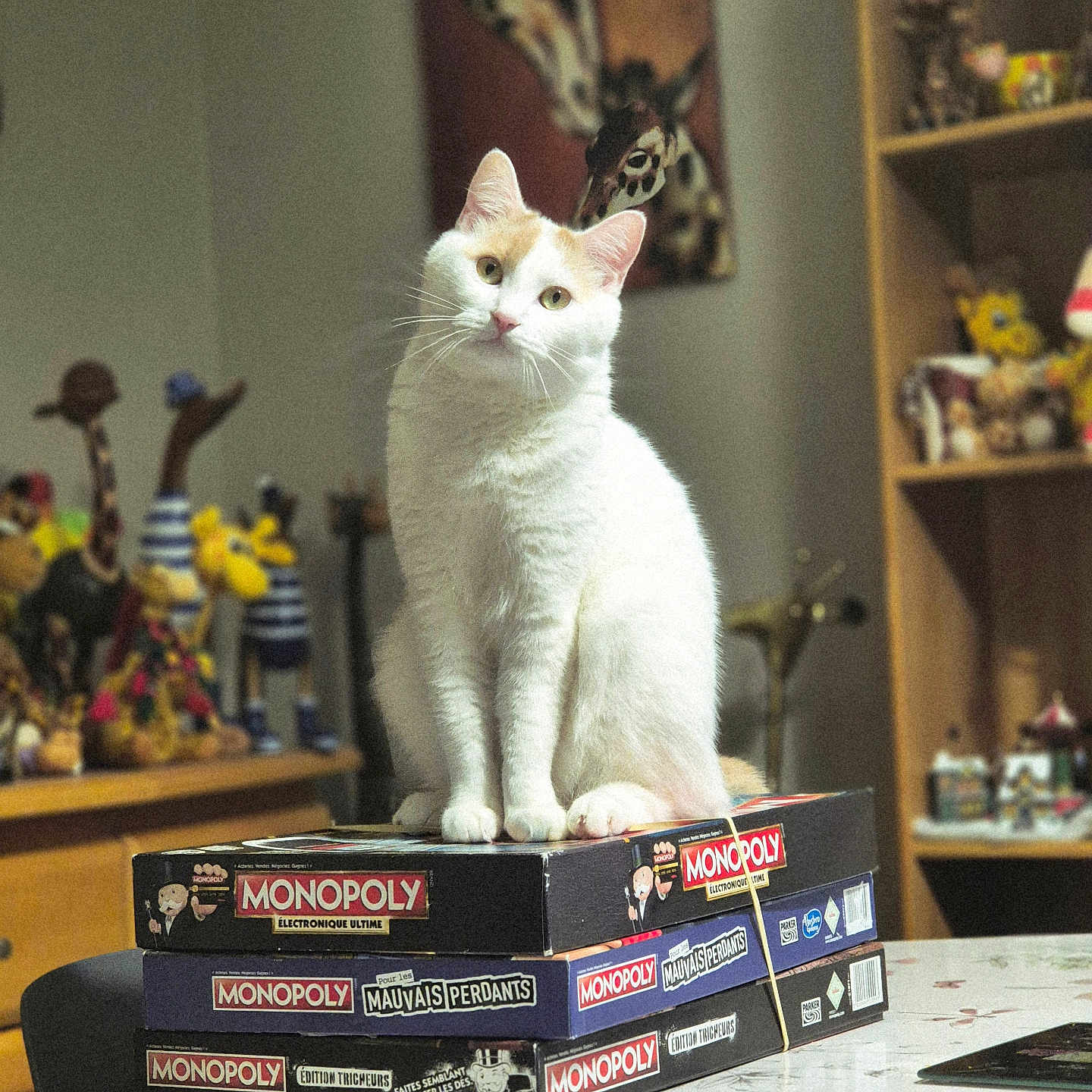 Bounty a rejoint le concours — aidez-le/la à gagner de superbes lots ! cat, white_cat, orange_patch, monopoly, board_game, stack, table, giraffe_figurines, figurines, shelf, decor, indoor, pet, curious, sitting, playful, cozy, knick_knacks, household, animal