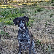 Nina participe au concours pour gagner de l'argent avec cette photo :