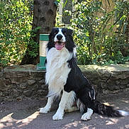 Wallis participe au concours pour gagner de l'argent avec cette photo :