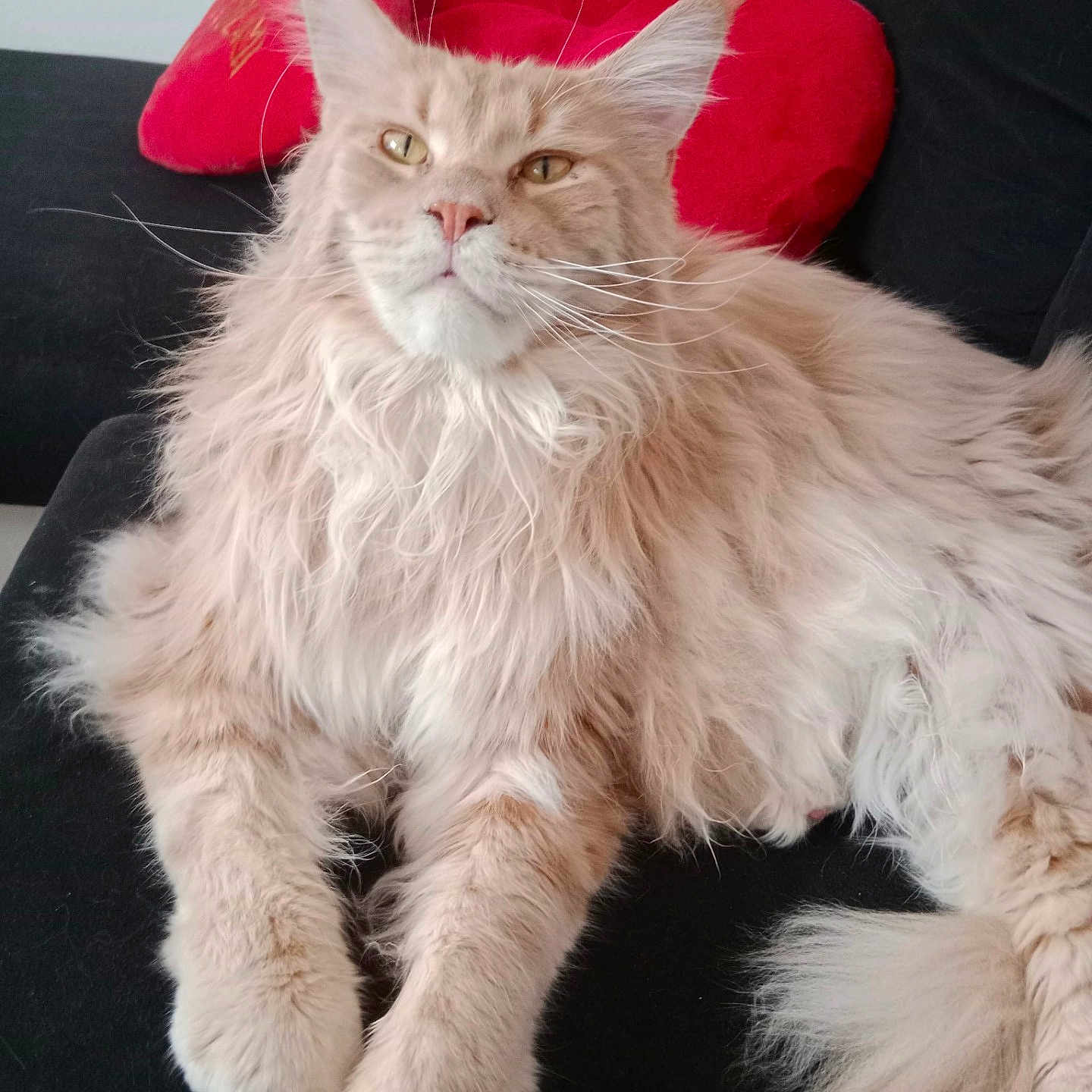 Quito