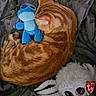 animal, blanket, blue_plush, cat, cozy, curled_up, cute, feline, gray_blanket, indoor, orange_tabby, pet, plush_toy, resting, sleeping_cat, soft_texture, stitch_plush, stuffed_animal, ty_tag, white_spider_plush