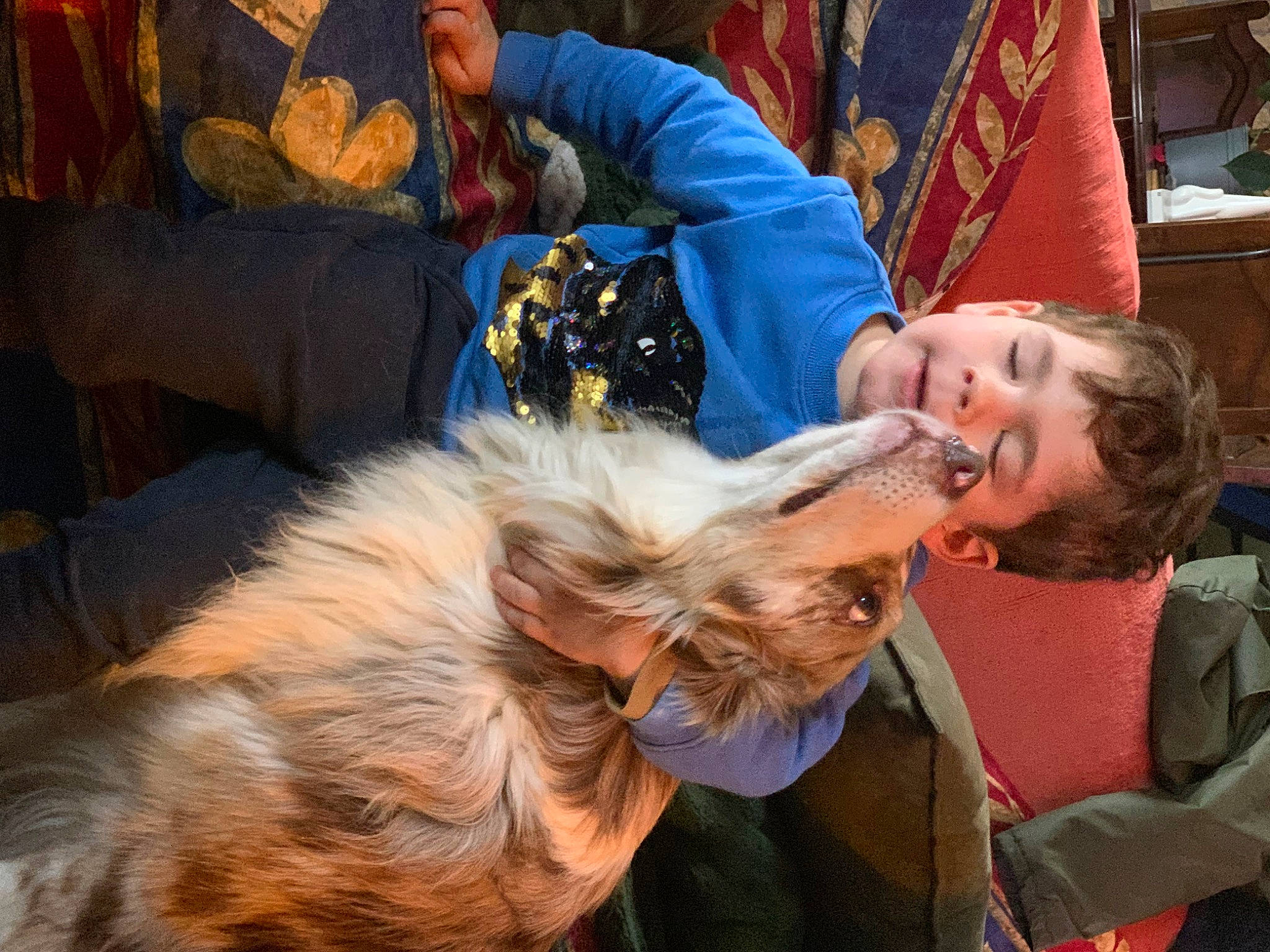 Hanna participe au concours pour gagner de l'argent avec cette photo : canidae, carnivore, companion_dog, conformation_show, dog, dog_breed, dog_clothes, dog_sports, event, felidae, flag, fun, fur, lap, pomeranian, small_terrier, spitz, sporting_group, terrier, toy_dog