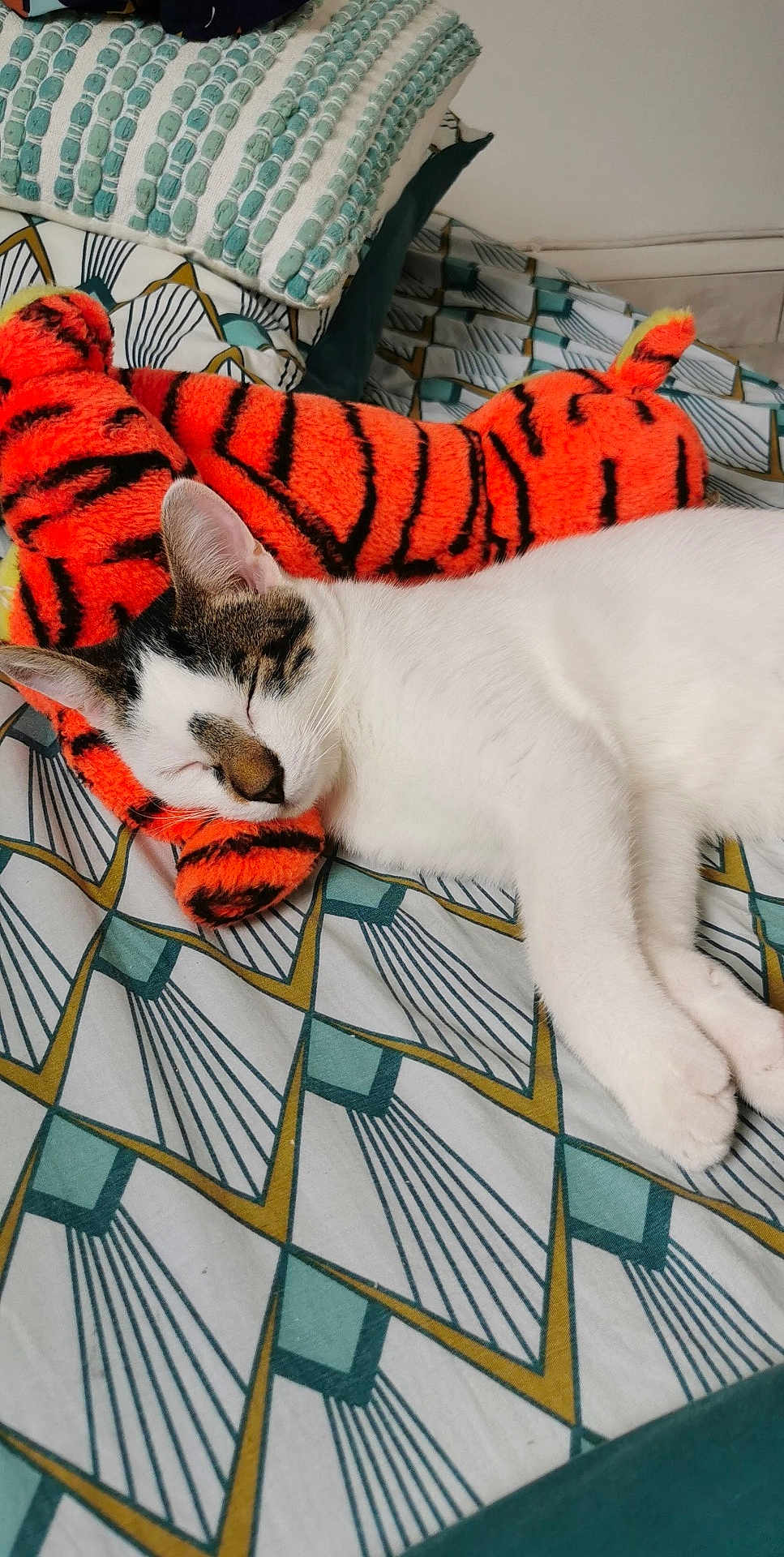 Zack a rejoint le concours — aidez-le/la à gagner de superbes lots ! cat, sleeping, plush_toy, bedspread, patterned_bedding, white_fur, tabby_markings, indoor, cozy, resting, soft_toy, orange, black_stripes, pillow, relaxed, close_up, feline, animal, comfort, cute