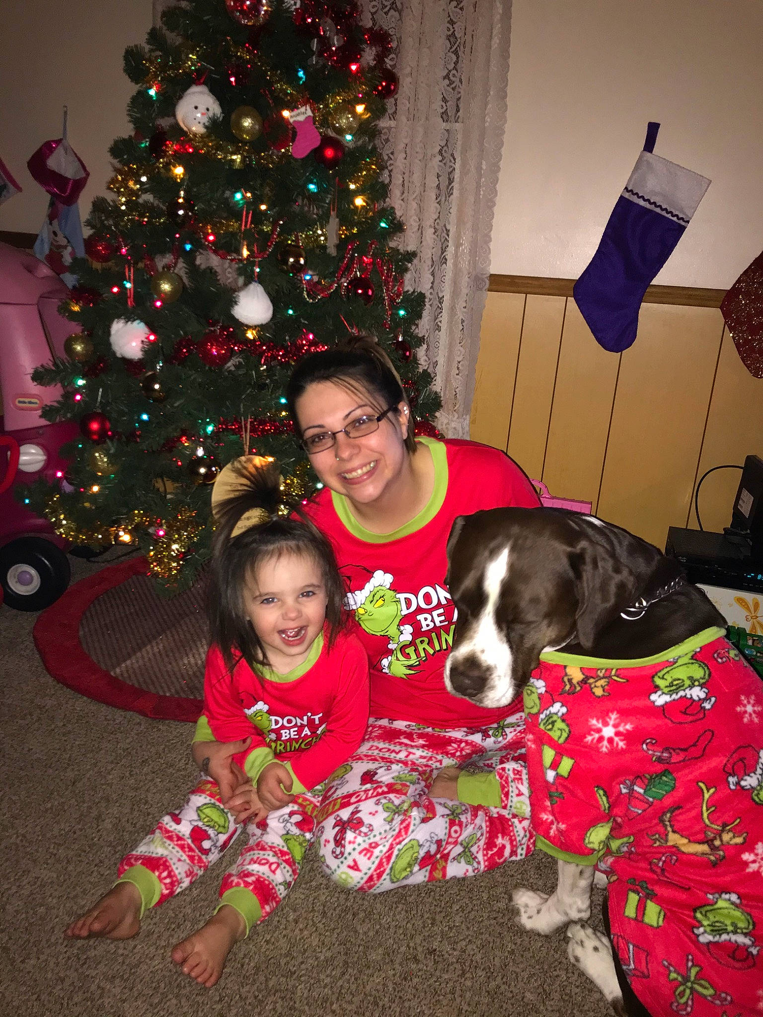 Annalee joined the competition — help win amazing prizes! canidae, carnivore, christmas, christmas_decoration, christmas_eve, christmas_lights, christmas_ornament, christmas_tree, dog, dog_breed, event, fawn, great_dane, guard_dog, holiday, joy, lap, non_sporting_group, person, sporting_group
