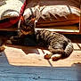 cat, tabby, sunlight, wooden_floor, cushion, blanket, indoor, pet, relaxed, resting, shadow, feline, cozy, animal, home, comfort, fur, paw, window_light, lounging