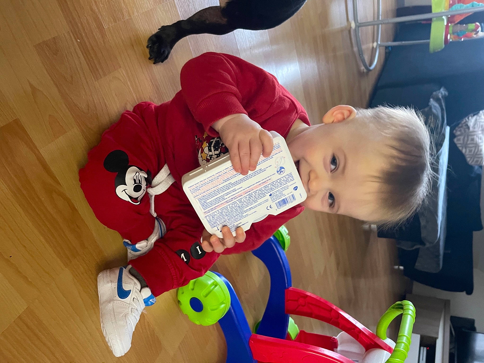 Tylio participe au concours pour gagner de l'argent avec cette photo : baby, baby_products, carmine, chair, child, comfort, flooring, fun, hairstyle, happy, hardwood, lap, learning, person, play, room, sitting, toddler, toy, wood