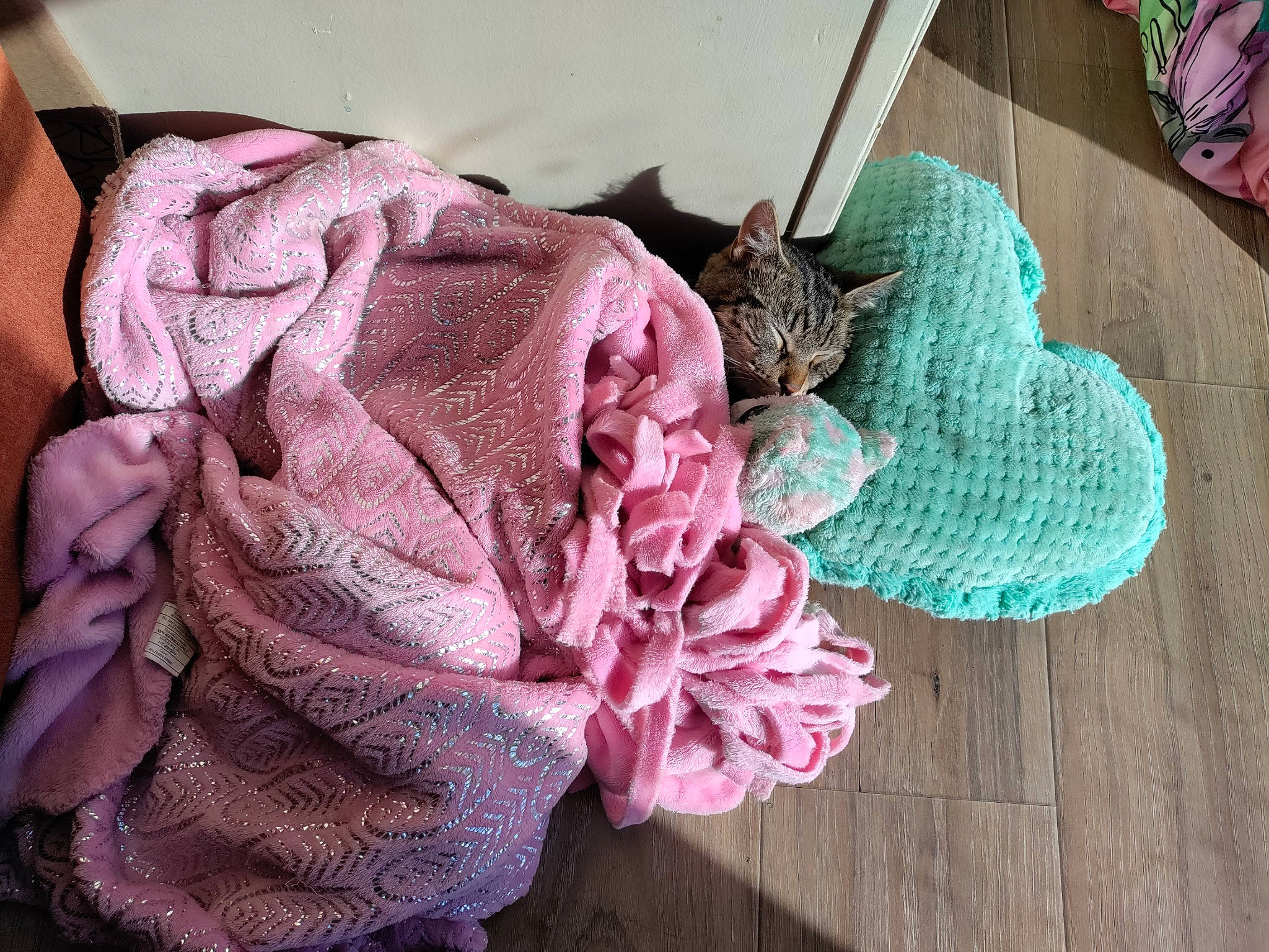 Batman is registered to the contest to win money with this photo: creative_arts, cut_flowers, dress, fashion_accessory, flower, hat, headgear, headpiece, linens, magenta, pattern, petal, pink, plant, rose, rose_order, thread, window, wool, woolen