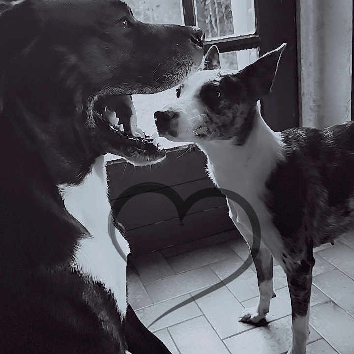 Skaï Et Azelle