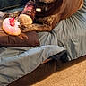 dog, toy, donut_toy, plush_toy, couch, blanket, carpet, indoor, pet, brown_dog, happy_dog, bandage, playful, smiling, resting, furniture, canine, domestic_animal, cozy, living_room