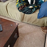 Tag is registered to the contest to win money with this photo: blanket, brown_dog, carpet, casual, coffee_table, couch, cozy, dog, fabric, furniture, home, indoor, living_room, peek, pet, pillow, resting, shoes, snug, wrapped