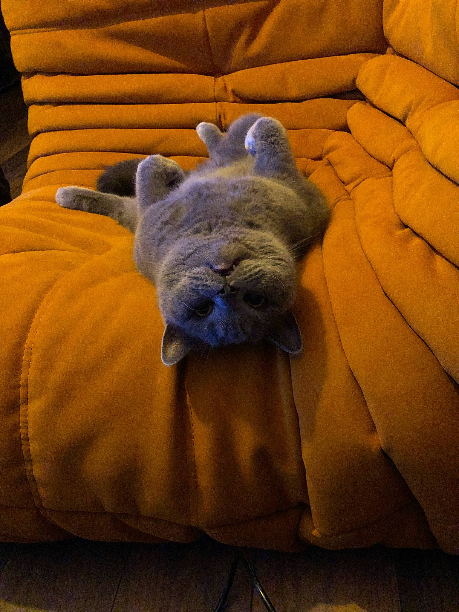 Ramses