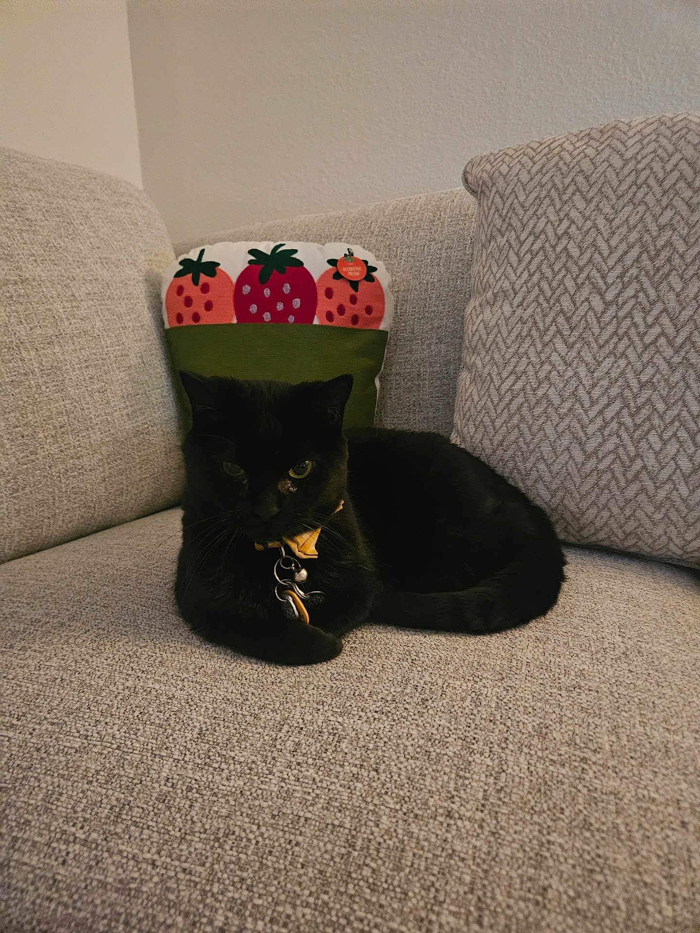 Toothless