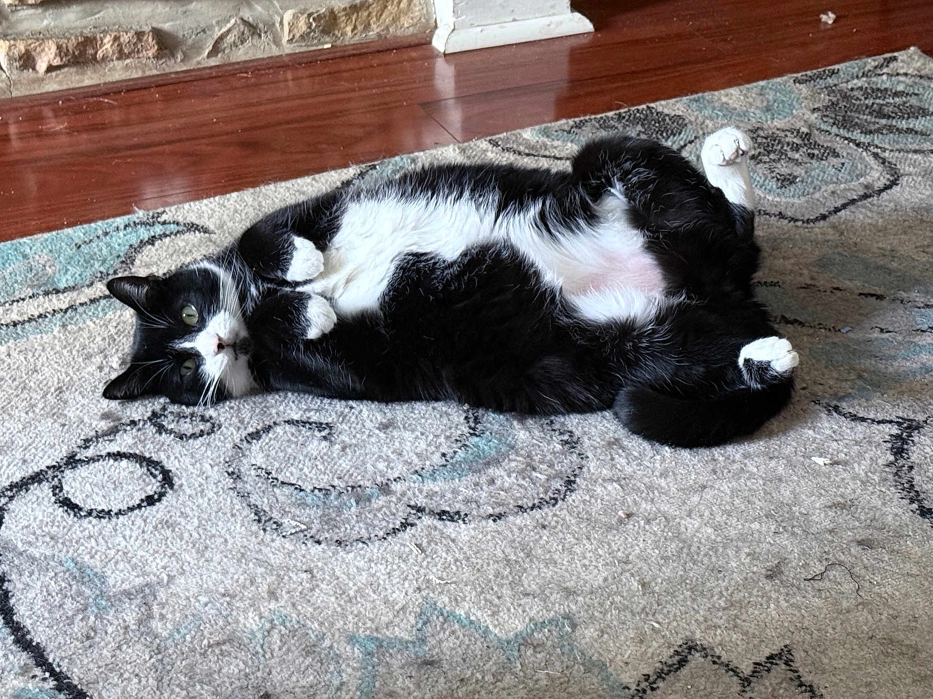 Gizmo