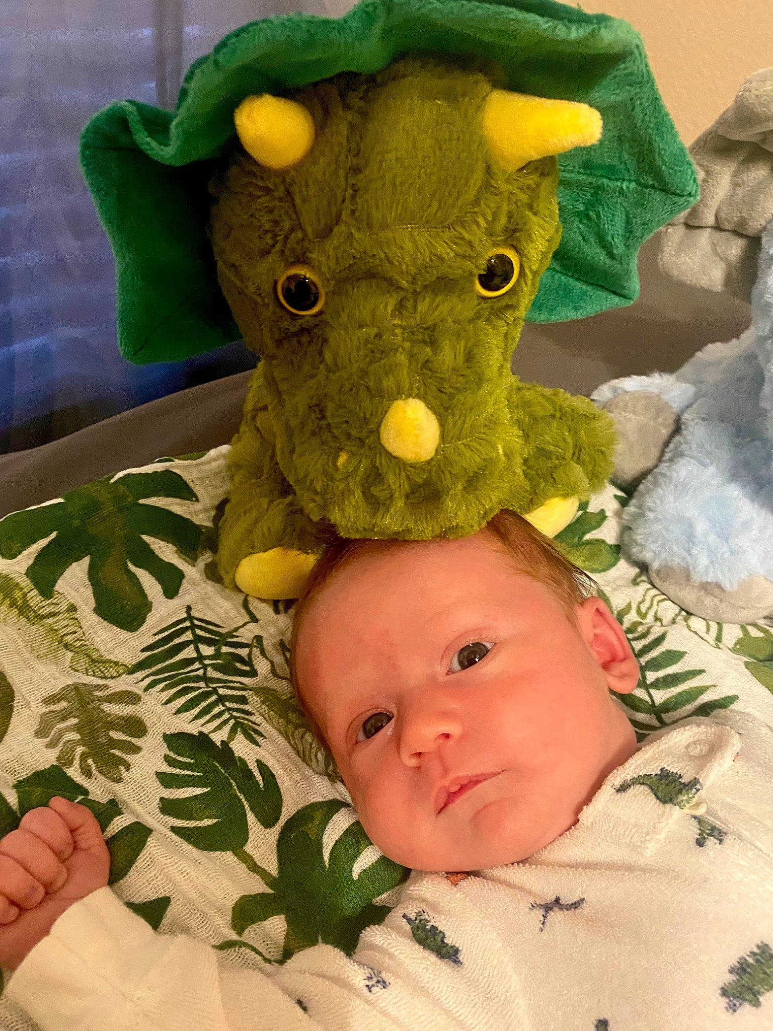 Layton joined the competition — help win amazing prizes! baby, baby_toddler_clothing, child, comfort, eye, green, happy, head, leaf, linens, pattern, person, plush, product, skin, stuffed_toy, textile, toddler, toy, white
