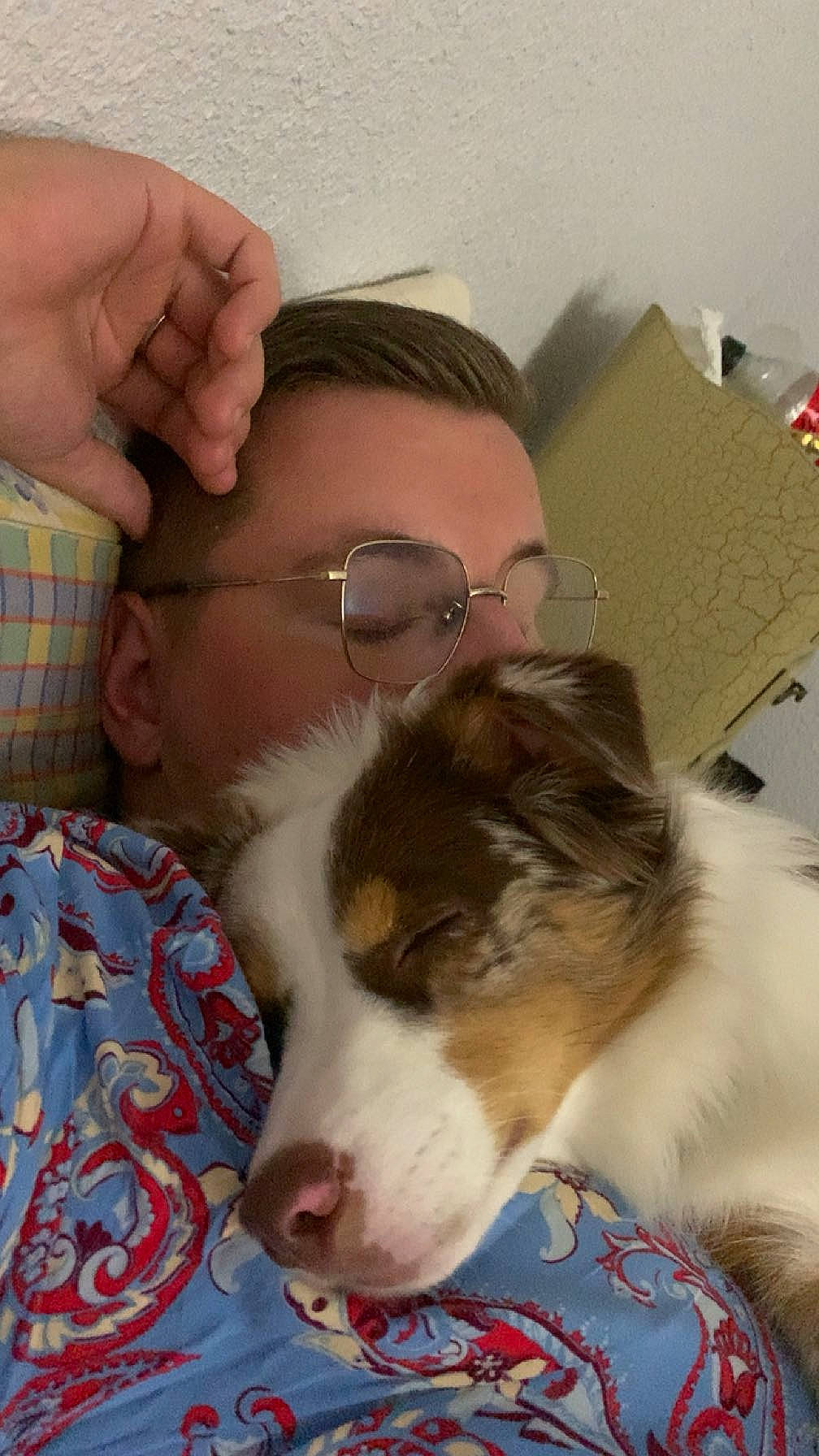 Usher participe au concours pour gagner de l'argent avec cette photo : baby, border_collie, canidae, carnivore, child, comfort, companion_dog, dog, dog_breed, ear, eyewear, fun, fur, glasses, happy, herding_dog, sporting_group, sunglasses, toddler, vision_care